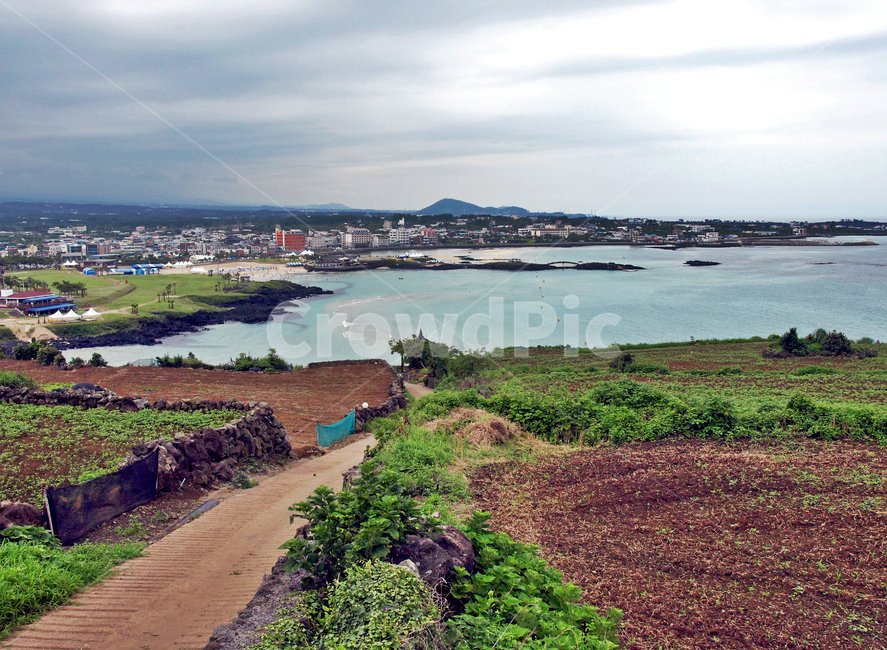 함덕,해수욕장,서우봉해변,제주,올레19코스,올레길,서우봉,바다,농로,제주도,jeju,jeju island,시골,마을,풍경,landscape,country,rural,town,nature,자연,scenery,outdoors,옥외,경치,ground,바닥,road,도로