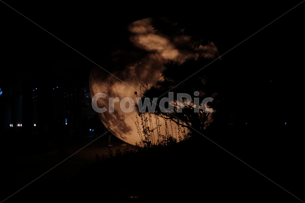 달,moon,moonlight,moonphoto,보름달,fullmoon,야경,밤,풍경,nightscape,night,landscape