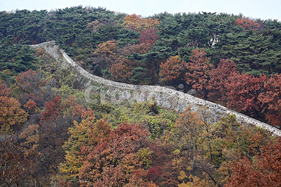 남한산성,성,성곽,단풍,낙엽,길,둘레길,숲,숲길,담,돌담,가을,자연,풍경,벽,울긋불긋,산성,식물,가을,계절,fall,autumn,season