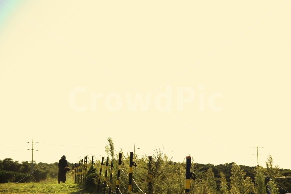 제주도,녹차밭,가을,피곤,캐논,주황,해질녘,자연,풍경,nature,landscape,사람,인물,인간,human,person,outdoors,옥외