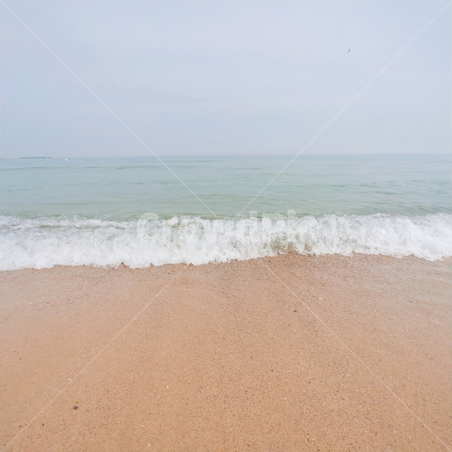 자연,바다,모래사장,여름,해변,물