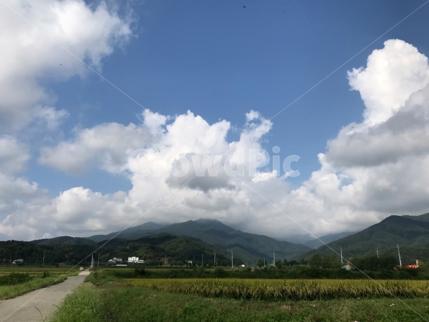 시골길,시골,구름,하늘,한적한,자연,풍경,nature,landscape,outdoors,옥외,weather,날씨,cloud,cumulus,적운,sky