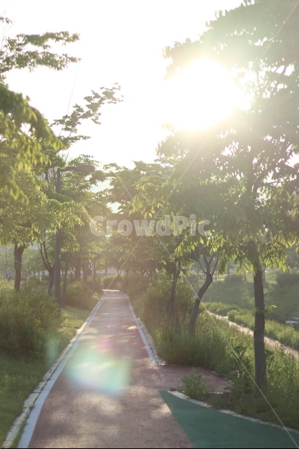 산책길,초록,나무,햇빛,풀,봄,자연,풍경,nature,landscape,한국자연풍경,한국자연경관,korea nature landscape,휴식,힐링,rest,relaxation,healing,light,빛,flare,플레어,outdoors,옥외