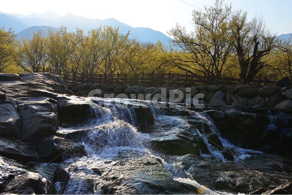 전남,구례,산동,산수유마을,산동산수유마을,산수유,산수유꽃,반영,mountainrange,산맥,mountain,산,nature,자연,water,물,outdoors,옥외,waterfall,폭포,자연,풍경,nature,landscape
