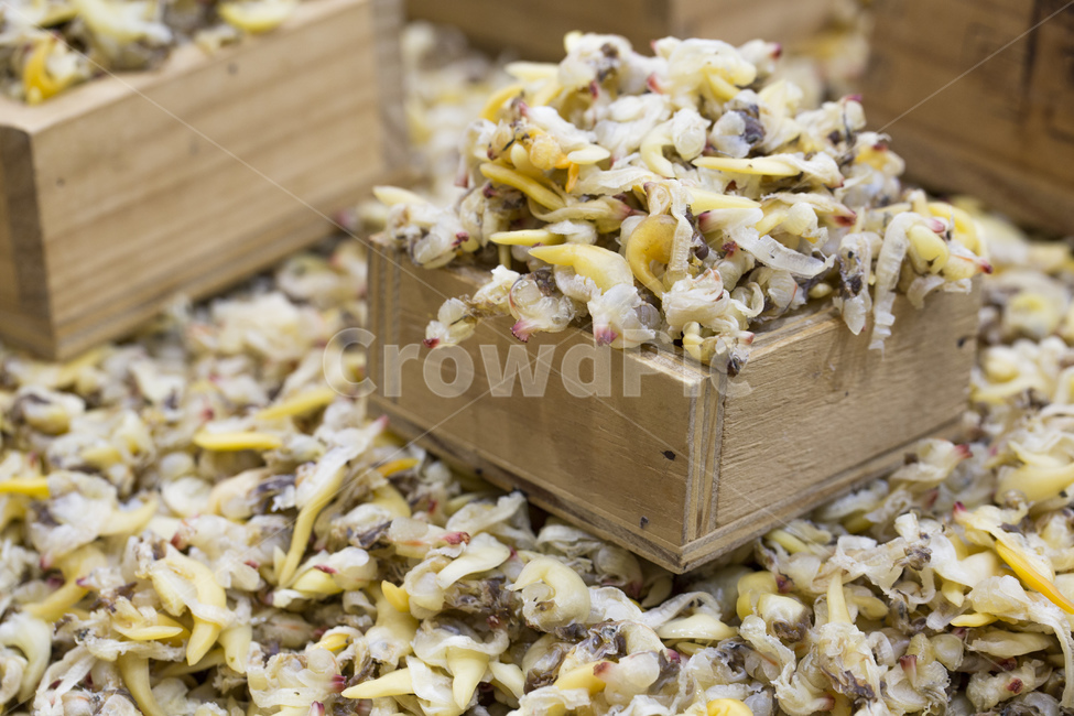 바지락,해산물,씨푸드,식재료,해물,음식,조갯살,건조,조개,한되,음식,식재료,요리,food,cook,meal,dishes,food reserves,수산물,해산물,fishery products,seafood