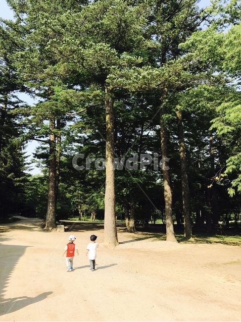 숲길,산책,나무,tree,plant,식물,person,사람,human,인간,treetrunk,나무줄기,남자아이,boy,아이들,친구,friend
