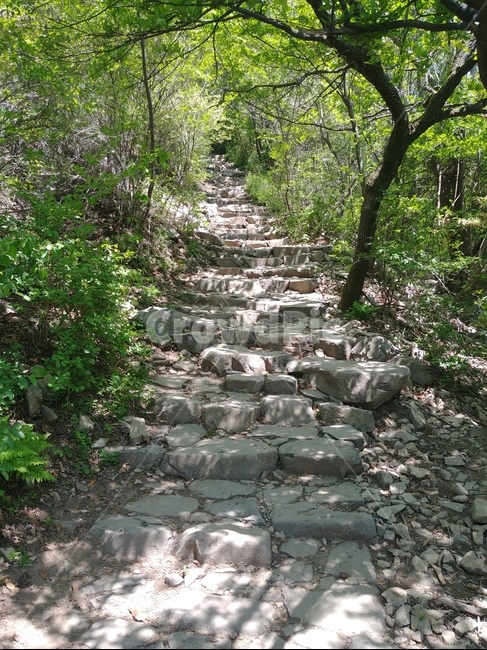 언덕,돌길,돌,등산,slate