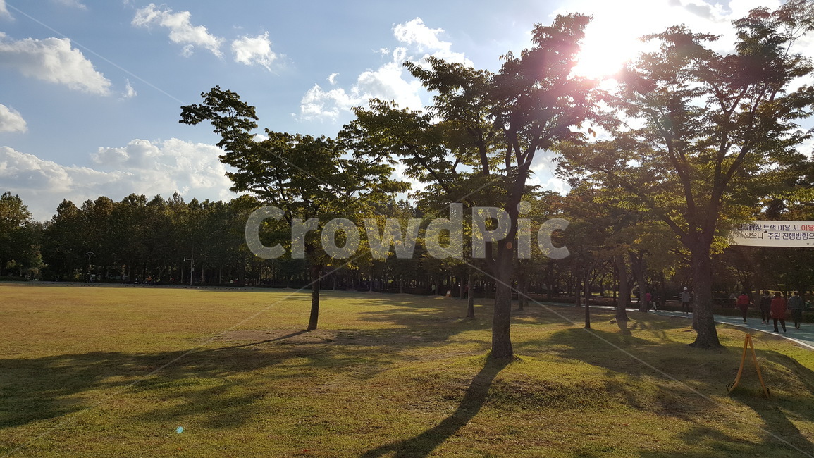 보라매공원,공원,잔디,조깅트랙,플레어