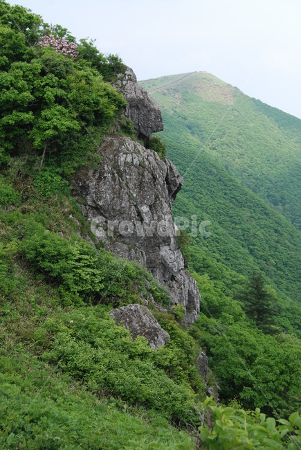 산,mountain,tree,nature,trail,등산로,자연,풍경,nature,landscape,outdoors,옥외,cliff,낭떠러지