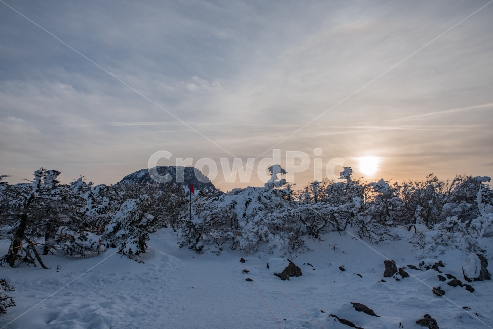 한라산,일출,겨울산,제주도,백록담,겨울풍경,겨울,계절,winter,season,자연,풍경,nature,landscape,한국자연풍경,한국자연경관,korea nature landscape,제주도,jeju,jeju island,tree,나무,plant,식물,fir,전나무,abies,아비,outdoors,옥외