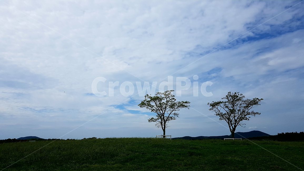 나무,하늘,구름,풍경,trees,nature,sky,clouds,landscape