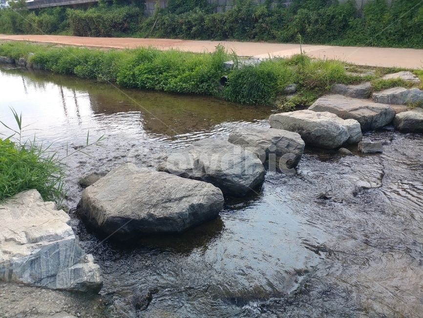 징검다리,돌,물,풀,길,결,엠보싱,빛,자연,바위,디딤,자연,풍경,nature,landscape