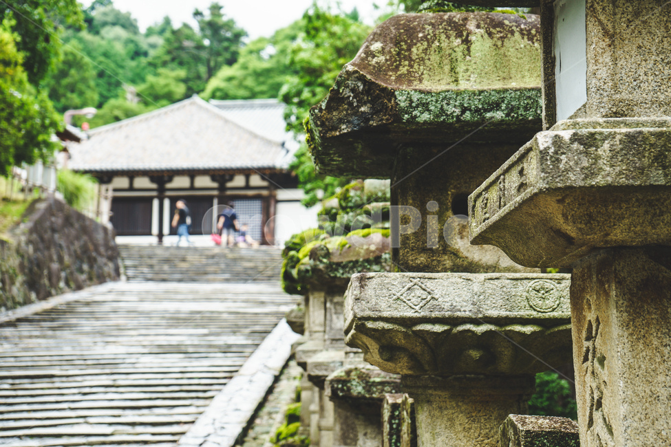 일본,신사,석조물,계단,자연,japan,asia,stone,stairs,nature,green,shrine,전통,오래된,traditional,old
