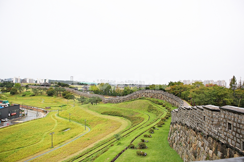 수원화성,성,성곽,길,둘레길,돌담,담,가을,자연,풍경,벽,방어벽,흙담,식물,전통,한국전통,한국문화,korean traditional,korean culture