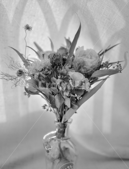 꽃,드라이플라워,말린꽃,부케,꽃꽂이,희망,풀,꽃다발,선물,사랑,연인,그림자,장미,잎,꽃병,병,인테리어,생화,꽃선물,flowers,dryflowers,bouquet,love,gift,present,감성,기억,시간,memory,time,추억,자연,식물,축하,기념일,anniversary,celebration,nature,plants,꽃,flower,실내용화초,화분,화초,house plant,흑백,모노톤,monochrome,black and white,인테리어,실내디자인,interior design