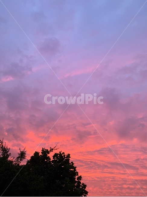 하늘,해질녘,붉은하늘,황혼,일몰,노을,자연,nature,옥외,outdoors,dawn,sky,redsky,dusk,sunset,자연,풍경,nature,landscape,나무,trees,wood,새벽,red sky,붉은 하늘