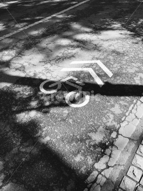 흑백,그림자,햇빛,도로,안내판,자전거,흑백,모노톤,monochrome,black and white,교통,교통수단,traffic,transportation,ground,바닥