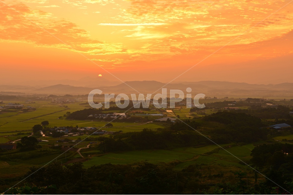 nature,자연,outdoors,옥외,scenery,풍경,landscape,경치,함평,밀재,밀재아침,밀재일출,여명,자연,풍경,nature,landscape,시골,마을,country,rural,town