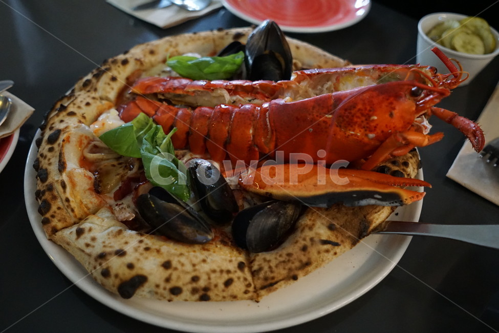 lobster,랍스터,해양생물,food,음식,피자,pizza