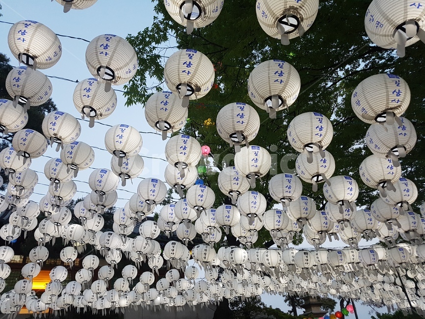 연등,초파일,석가탄신일,길상사,절,사찰,lotuslantern