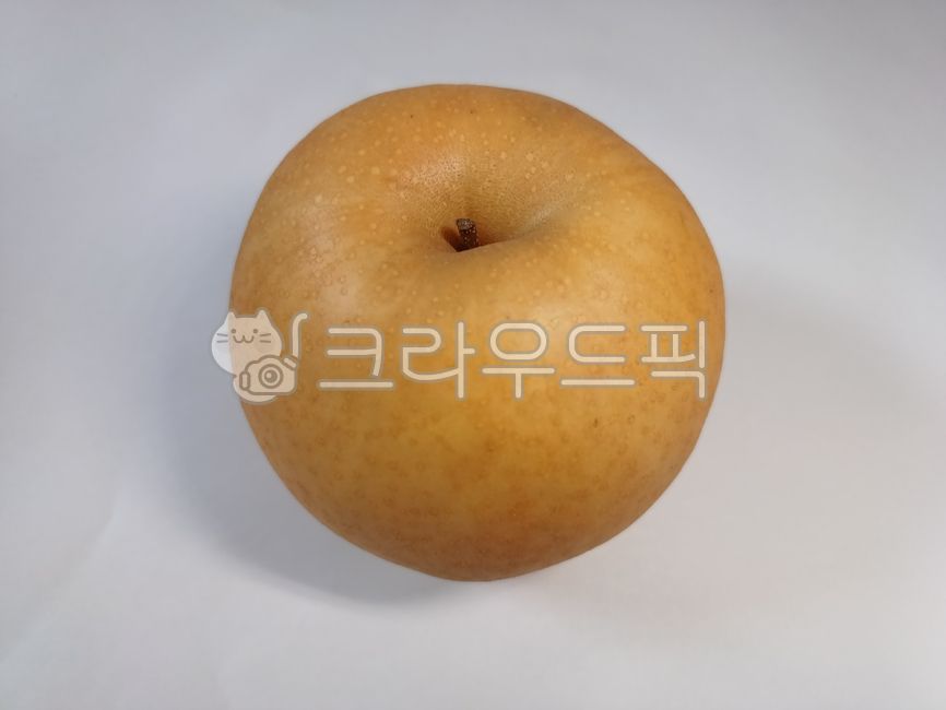 배, 과일, pear, fruit, 신고배, 사진,이미지,일러스트,캘리그라피 - Cool Moon작가