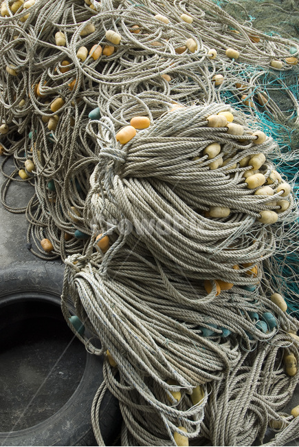 그물,부두,항구,그물사진,어업,산업,industry,industrial,어업,fishery,fishing industry