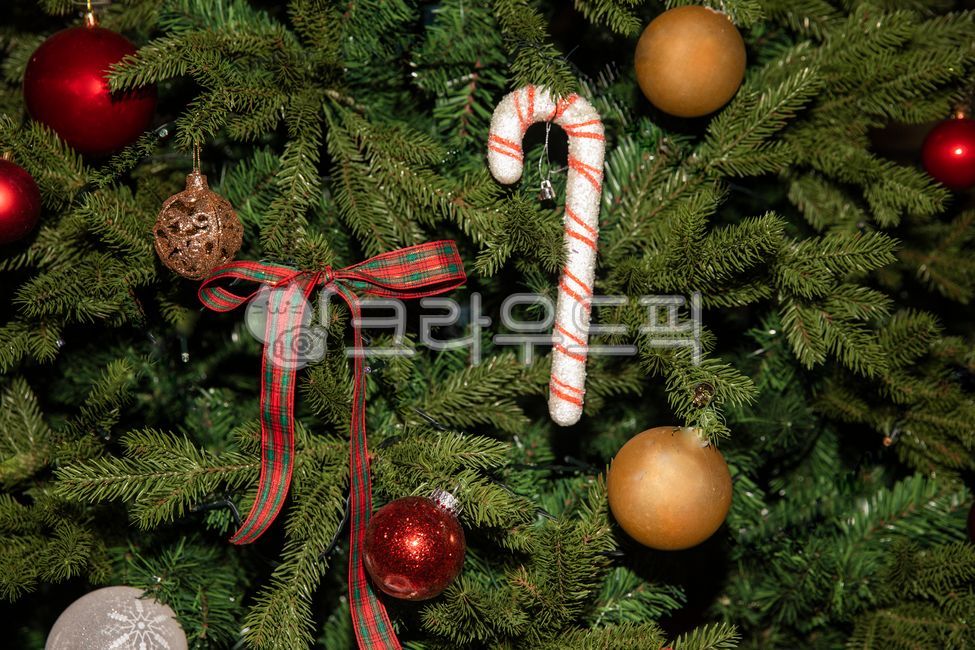 크리스마스,트리,성탄,겨울이야기,겨울,크리스마스장식,크리스마스트리나무,크리스마스장식소품,나무,방울,별,메리크리스마스,선물,선물상자,리본,미니전구,전구,조명,실내조명,지팡이,merrychristmas,christmas,treee,christmastree,winter,winterstory,christmasdecoration,bell,bolb,fibbon,plant,leaf,cane,메리크리스마스,성탄절,merry christmas