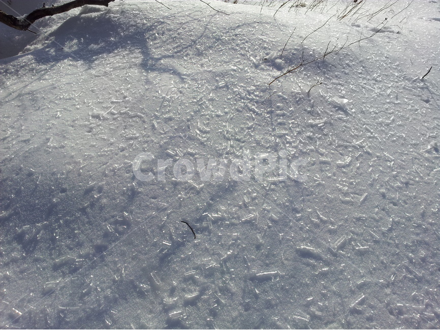 겨울,설경,눈,계절,winter,겨울,계절,winter,season
