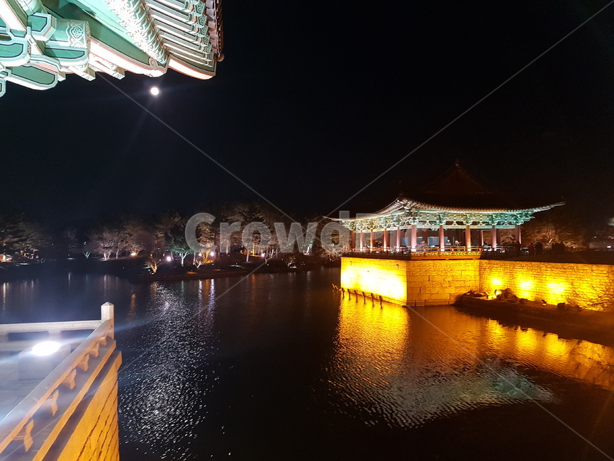 경주,동궁과월지,안압지,야경,전통,tradition,gyeongju,건축물,building,korea,신라