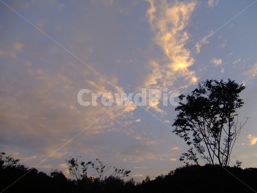 석양,노을,나무,구름,sunset,하늘,cloud,tree,공원
