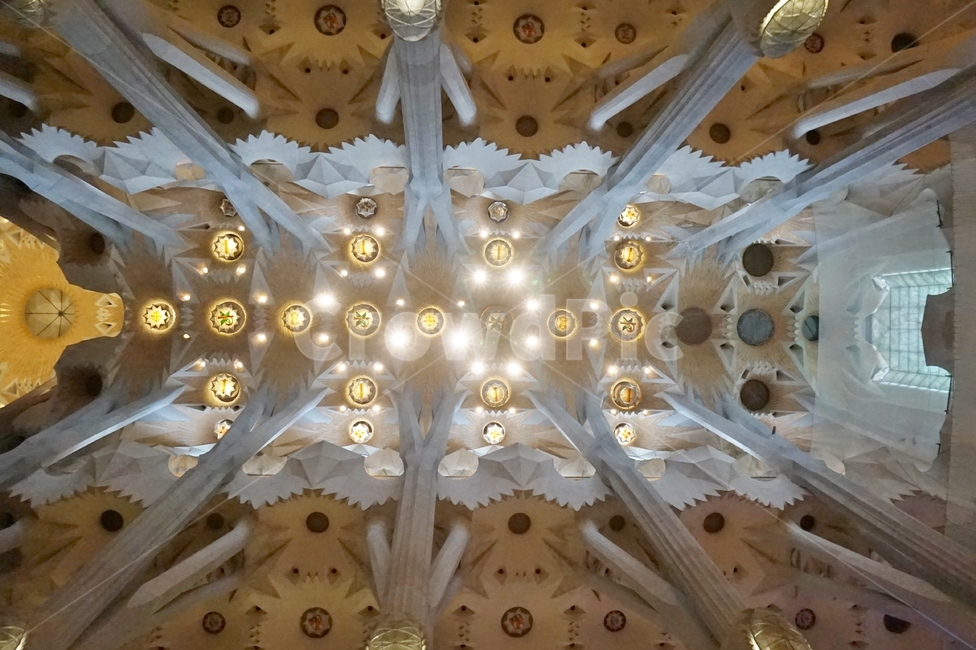 사그라다파밀리아,성가족성당,가우디성당,sagradafamilia,스페인성당,building,성당건축,성당건물,사그라다파밀리아천장,성당천장,천장,ceiling,성당조명,사그라다파밀리아내부,사그라다파밀리아스테인드글라스,스테인드글라스,stainedglass,성당,church,카톨릭성당,가톨릭,카톨릭,catholic,성당내부,성당벽면,성당장식,성당인테리어,성당스테인드글라스,인테리어,스페인건축물,가우디,gaudi,glassart,art,건축설계,조명,light,예술,건축,건축물,건물,architecture,바르셀로나,바르셀로나관광지,바르셀로나명소,가우디건축물,기하학건축물,기하학패턴,기하학디자인