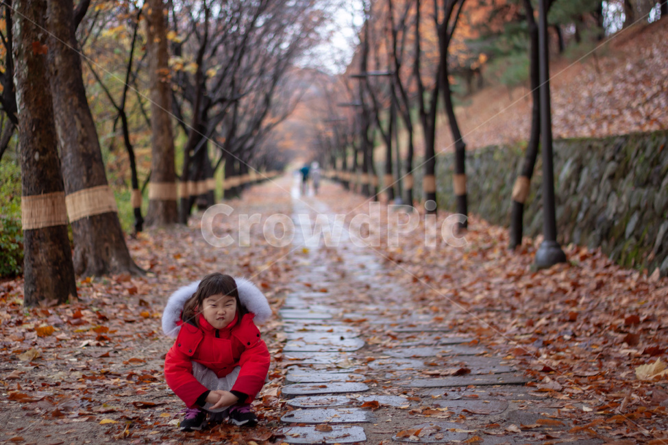 가을풍경,산책로,낙엽,가을길,어린아이,fall,smile,funny,autumn,road,leaves,yellow,red,가을,계절,fall,autumn,season,자연,풍경,nature,landscape,사람,인물,인간,human,person,어린이,어린아이,child,children,kid,leaf,잎,plant,식물