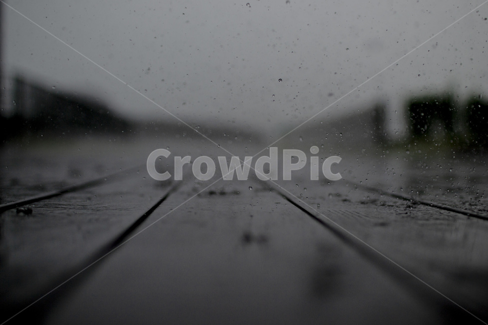 감성사진,rain,빗방울,crown,흑백,비,비오는날,rain,rainy,흑백,모노톤,monochrome,black and white