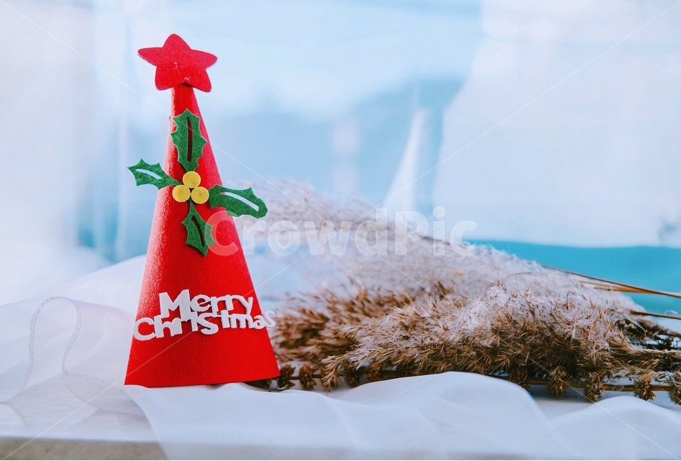 크리스마스,성탄절,감성,스냅,빛,겨울,계절,winter,season,기념일,축하,anniversary,congratulation,celebrate,celebration,메리크리스마스,성탄절,merry christmas,색깔,색상,색채,색감,color sense,color sensitivity,feeling of color,사물,물건,오브젝트,thing,object,matter