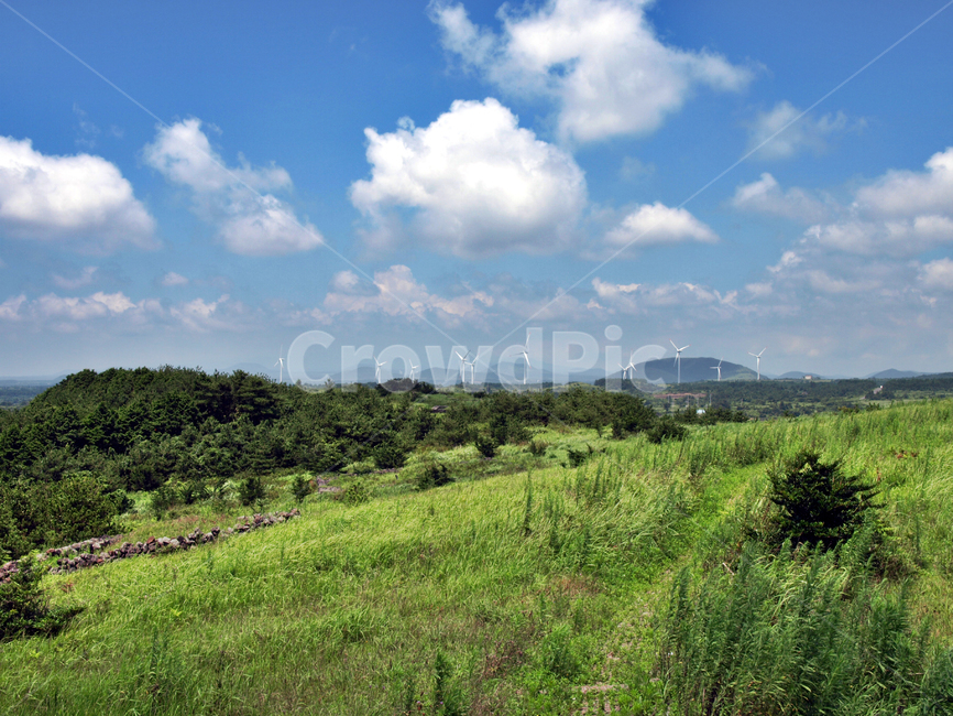 통오름,올레3코스,올레,제주,서귀포,푸른하늘,흰구름,자연,자연,풍경,nature,landscape,outdoors,옥외,grassland,목초지,field,들,weather,날씨