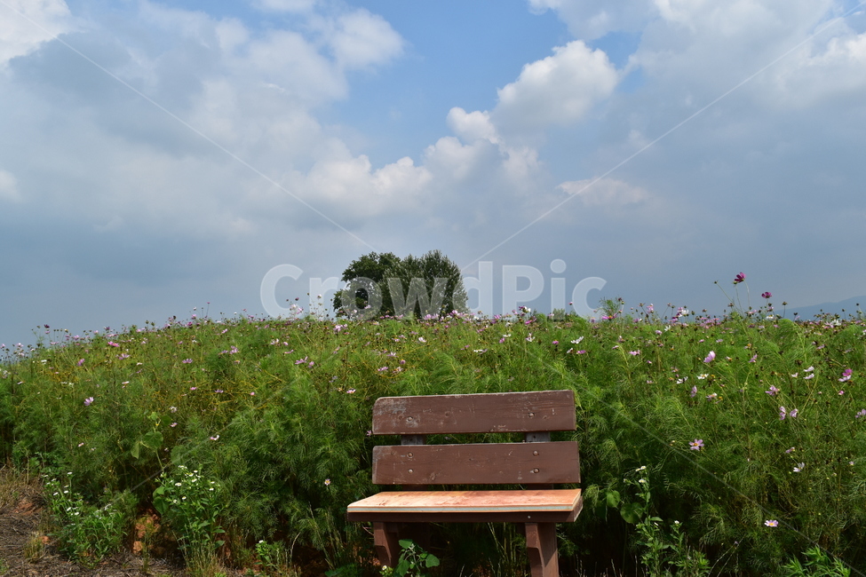 furniture,가구,bench,벤치,하늘
