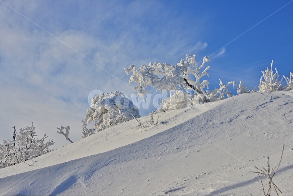 glacier,빙하,ice,빙,snow,nature,자연,landscape,경치,outdoors,옥외,향적봉,scenery,풍경,mountain,산,경관,무주,덕유산,설천봉,상제루,덕유산설경,상고대,눈,겨울,계절,중봉