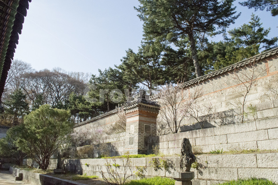 배경,풍경,하늘,창덕궁,궁,경복궁,광화문,사유지