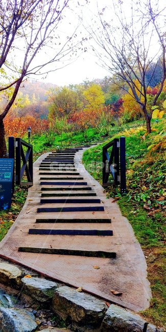 가을,가을단풍,가을빛,가을느낌,가을길,자연,풍경,nature,landscape