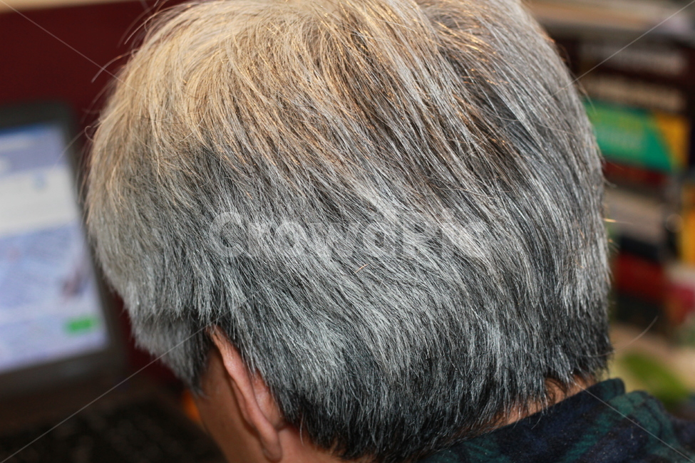 백발,힌머리,반백,하얀머리,인물,중년,검은머리,염색,뒷모습,hair,머리,사람,인물,인간,human,person,신체일부,몸,body,노인,어르신,old man, senior citizen