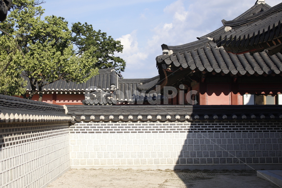 행궁,화성,궁,궁궐,한국,토속풍경,전통,한국전통,한국문화,korean traditional,korean culture
