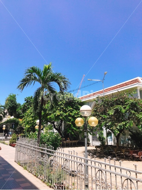 풍경,평화,옥외,정원,garden