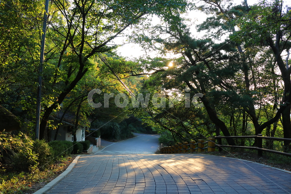북한산,산책로,등산로,자연,풍경,공원,국립공원,북한산국립공원,길,인도,도로,가을,나무,식물,자연,풍경,nature,landscape