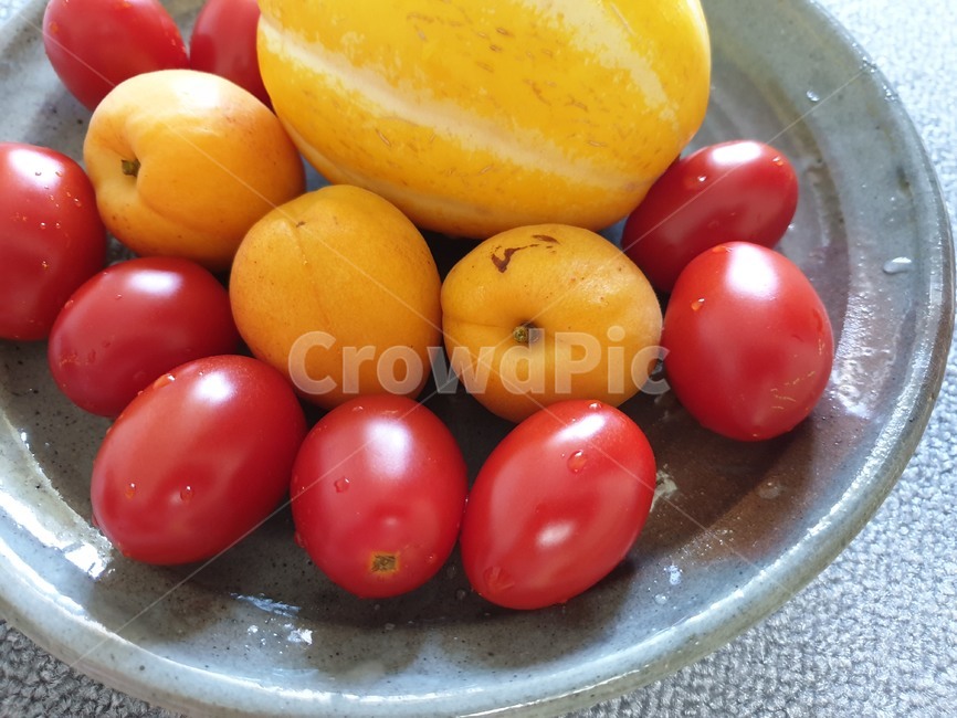 참외,살구,방울토마토,유기능,농업,여름,과일,간식,후식,노랑,빨강색