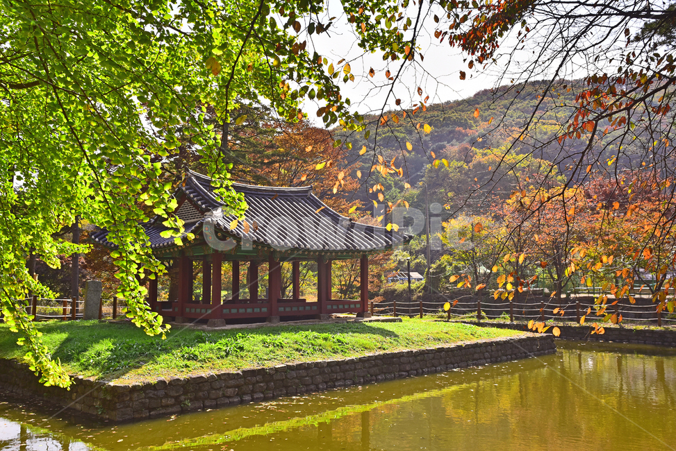 산성,남한산성,유네스코,세계문화유산,문화유산,역사,전통건축물,건축물,건물,기와집,전통문화,가을배경,가을단풍,한국전통,한국자연경관,가을분위기,시즌,계절,아웃도어,옥외,야외,배경,바탕,백그라운드,풍경,한국풍경,지수당,정자,연못,물,반사,한국전통,한국문화,korean traditional,korean culture