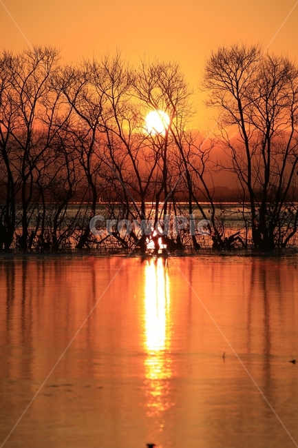 노을,일몰,탑정호,호수,논산,반영,해,sunset,풍경,landscape,자연,풍경,nature,landscape,outdoors,옥외,sky,하늘,dusk,황혼,red sky,붉은 하늘,dawn,새벽