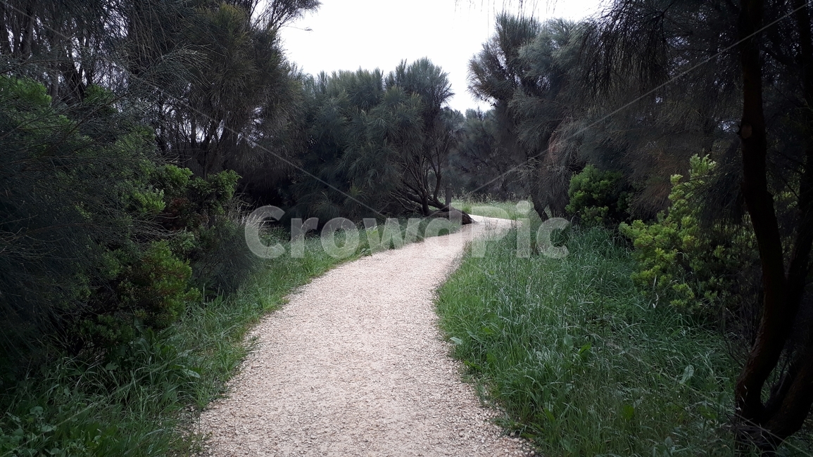 산책,길,오솔길,교외,한적함,일요일,산책길,산보,휴식,자연,자연,풍경,nature,landscape,dirt road,흙길,road,도로,gravel,자갈,ground,바닥