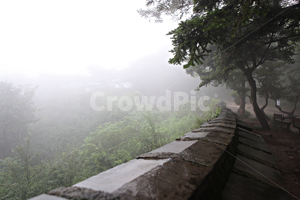 trail,stone wall,forest,castle,road,Namhansanseong,wall,forest road,fog,stone