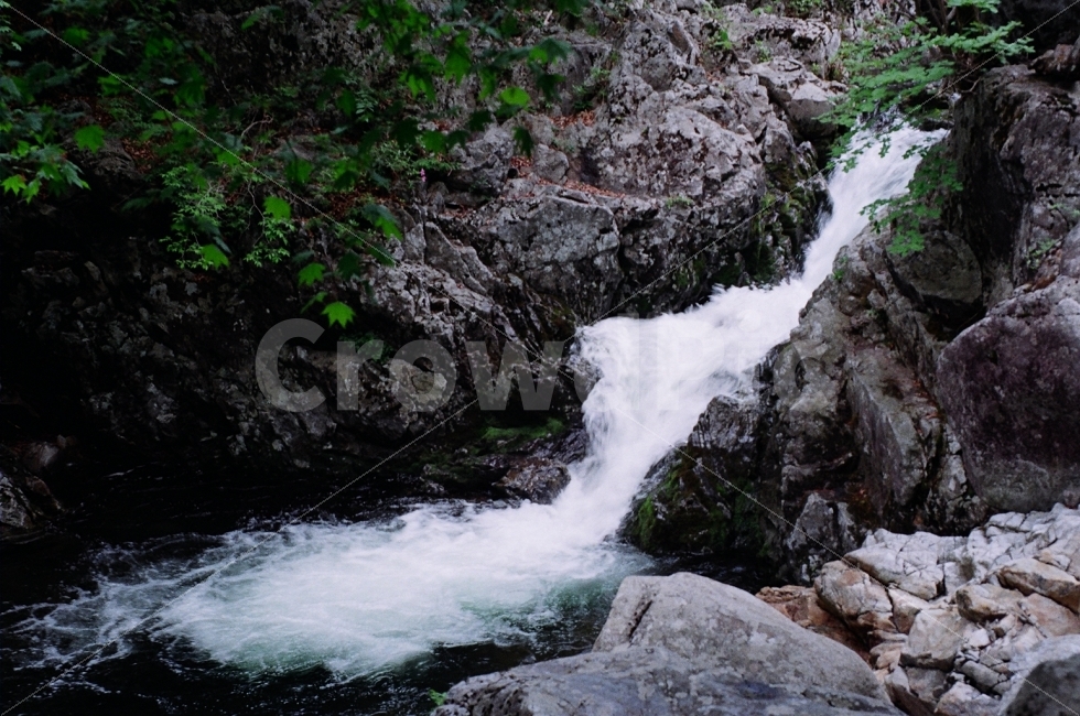 필름사진,자연,무주구천동,폭포,풍경,무주,구천동,자연,풍경,nature,landscape,여름,계절,summer,season,water,물,river,강,outdoors,옥외,waterfall