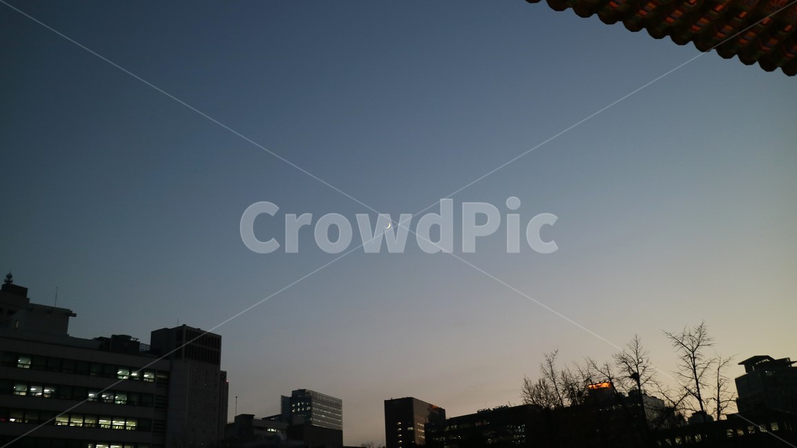 덕수궁,궁궐,기와,한옥,초승달,도심,해질녘,하늘,그림자
